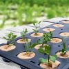 Say-Goodbye-to-Peat-and-Embrace-Eco-Friendly-Alternatives-min